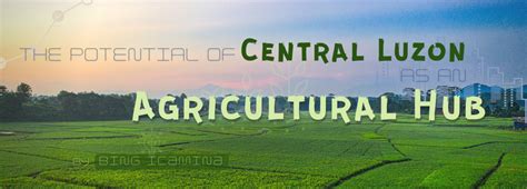 The Potential of Central Luzon as an Agricultural Hub .